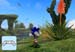 screenshot_186